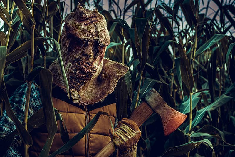 Man dressed like a scarecrow with an ax in front of corn stalks waiting to scare people on Halloween
