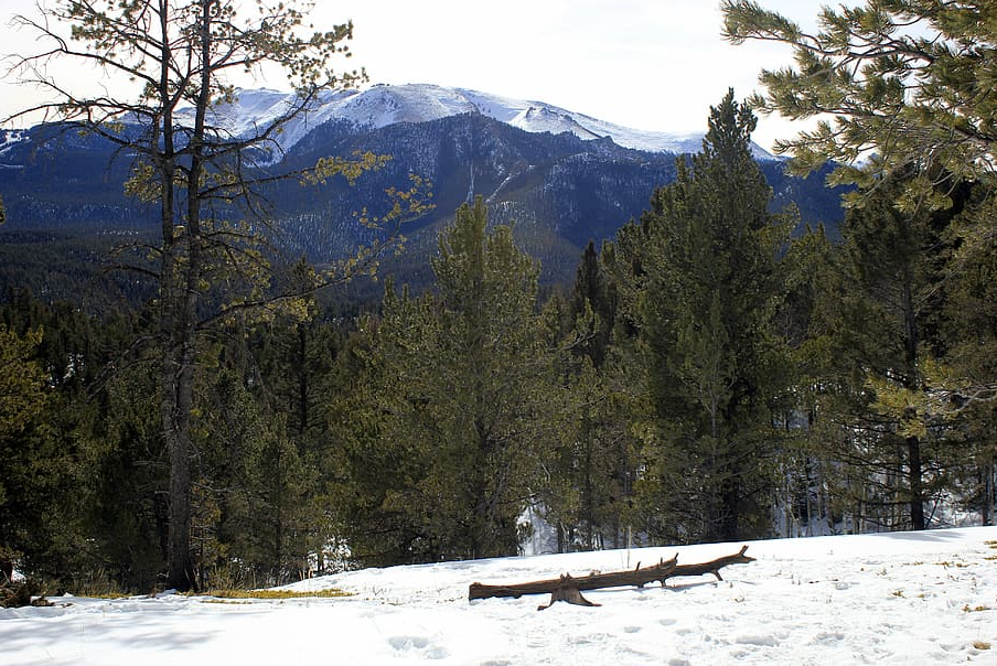 A view of a snowy clearing on a mountaintop in the Pike National Forest overlooking a forest of pine trees and more mountains in the distance.