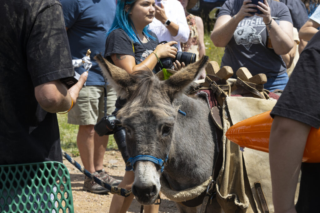 90th annual Donkey Derby Days in Cripple Creek Colorado on Highway 67 just south of town