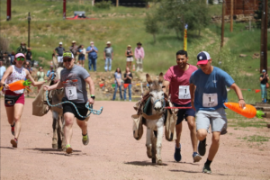 donkey derby racing