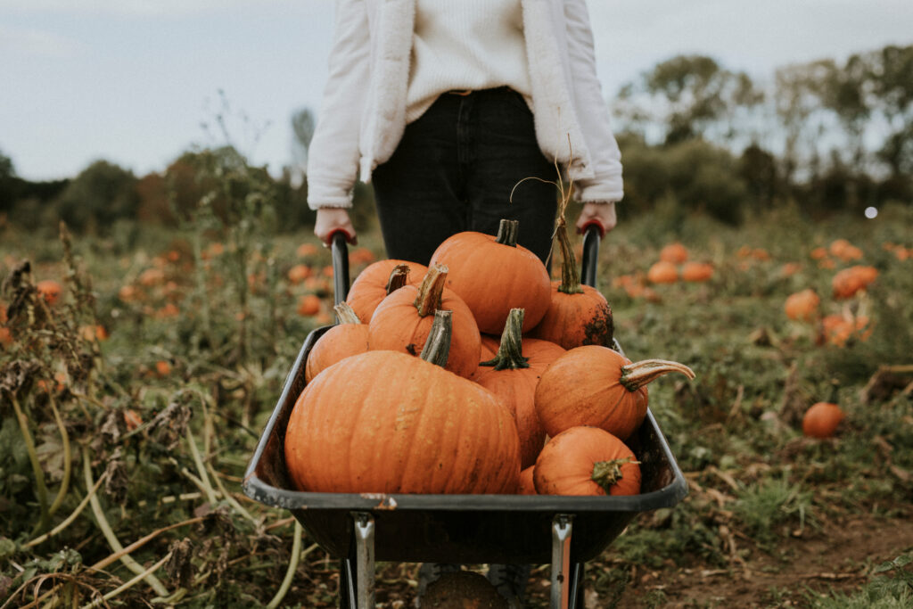 Woman at a pumpkin patch before Halloween