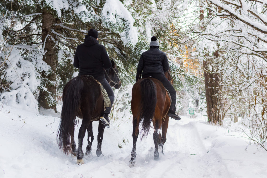 Man and woman rides on horses through snowy landscape.