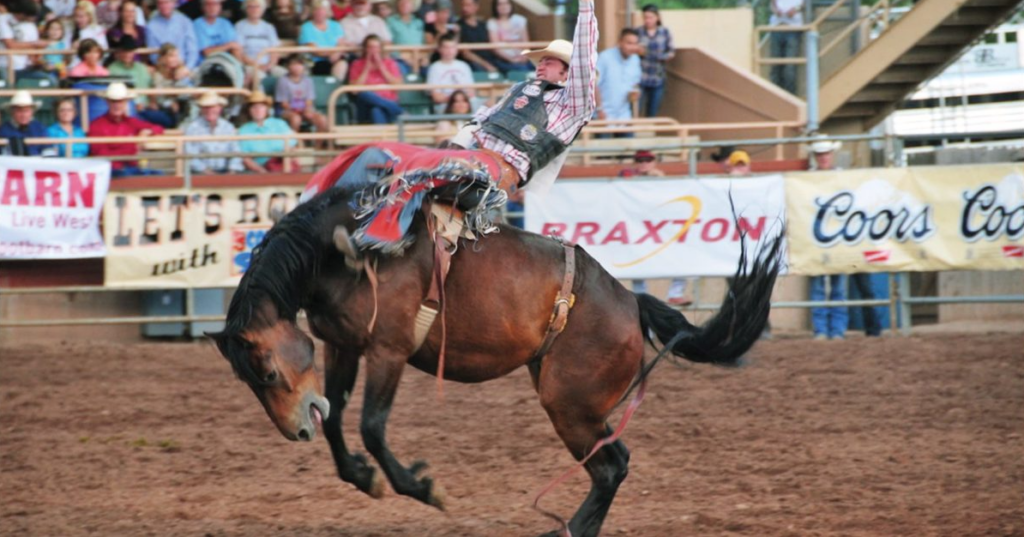 A man holds on while a horse tries to buck him off at the rodeo